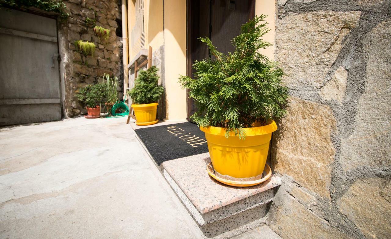 The Rocky House - Central & Private 2Bdr By Flat Mаnager Plovdiv Esterno foto